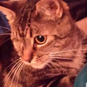 Meet your Posher, Robin